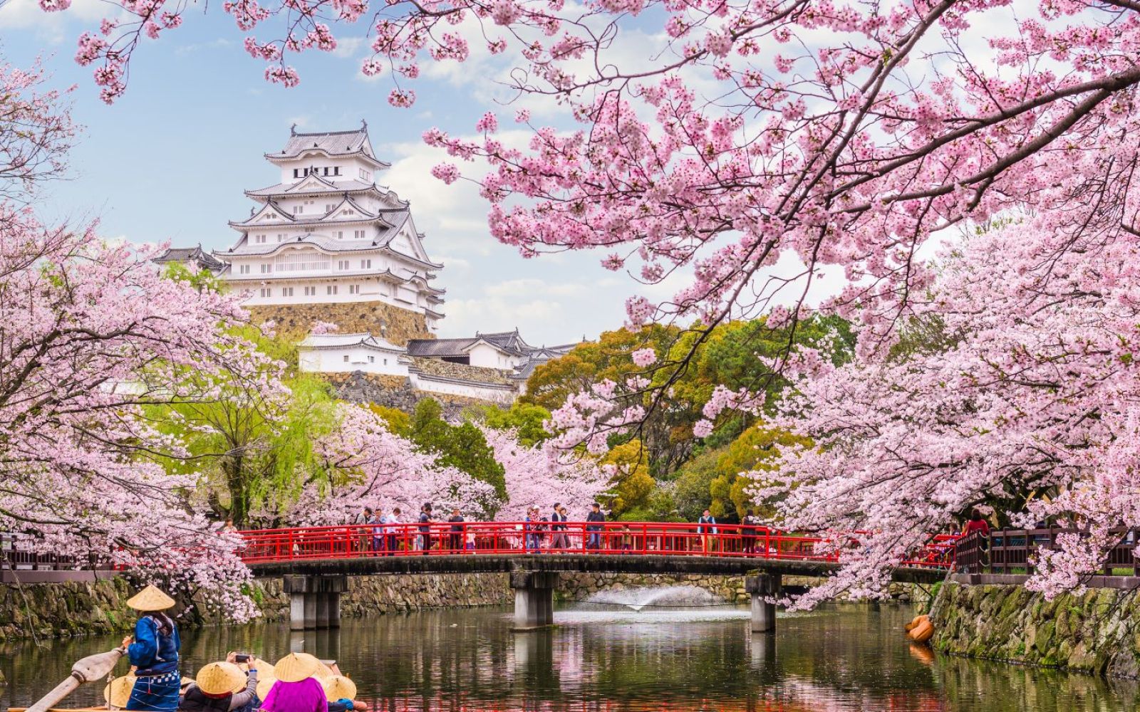 hanami TOUR DEL CILENTO